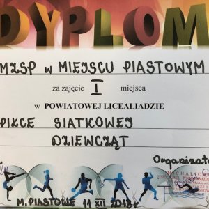 Dziewczęta MZSP Mistrzyniami  - NASZE ZŁOTKA!!!