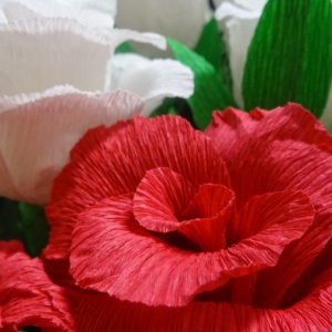 „Droga do wolności” 1918- 2018