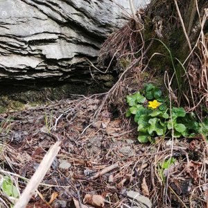 “PIERWSZE OZNAKI WIOSNY” - KONKURS FOTOGRAFICZNY