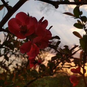 “PIERWSZE OZNAKI WIOSNY” - KONKURS FOTOGRAFICZNY