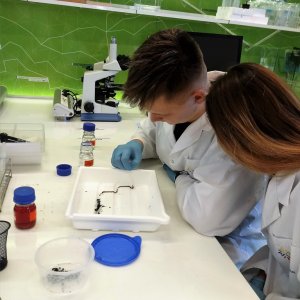 Wycieczka do Warszawy w ramach projektu ,,Mierzymy wyżej”
