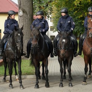 W dniu wspólnego Patrona – Podkarpacka Policja w naszej szkole