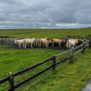 Prosta droga do kariery - zagraniczne staże zawodowe MZSP. Wycieczka nad ocean Atlantycki